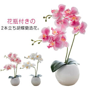  J@j JX z Mtg v[g j STCY  A[gt[ Ӓ ~jTCY 2{ G} 