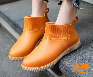 r L`V[Y JC JWA ʋ ubN  C u[c C h V[g fB[X Cu[c