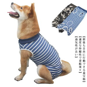 ^ Yp {^^Cv sDp  D 畆ی rߖh~ ی 앞 ی앞 pEFA  p