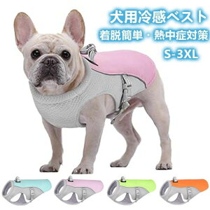 pxX ⊴ ybg ڐG⊴ Ђ ^ ^ ⊴ N[xXg ЂxXg MǑ΍ p N[xXg