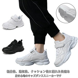 _X Xg[g _XXj[J[ Bn ʋC bV qC tBbglX  _XC LbY  \ WjA