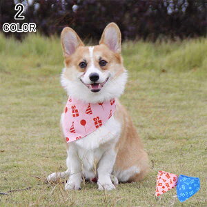 Aj} ANZT[ ybg  p hbO hbOEFA o_i XJ[t  킢 ^ ^ ^ 