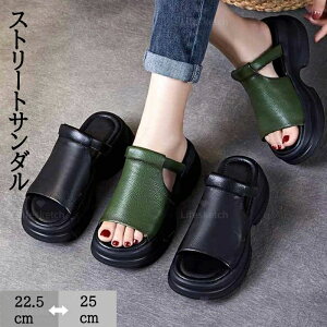  r [}  4E xNfUC ̌ 5cm fB[X Odw  I[vgDEFbW\[T_