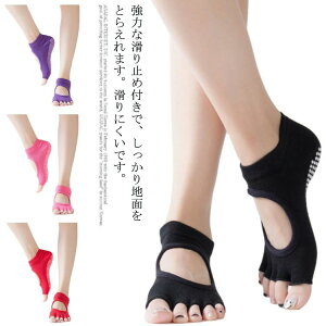  t[TCY W g[jO wȂ KEGA ~ K\bNX KC Ȃ seBX 5{w ɂ