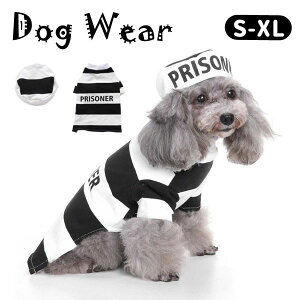 Cxg RX`[ 킢 j p halloween ybgpi ̕ l ^  ybg  hbOEFA