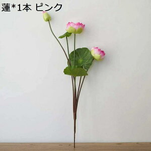 CeA B  lHϗtA @ i VN  { [^X A[gt[ u[P ԑ