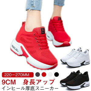   ꂢ y 9cm  C EH[LOV[Y _CGbgXj[J[ fB[X Xj[J[ Xj[J[ 