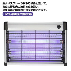 LEDU LED^ dVbN 悯 Ƃ UVUߒ ECg dE  dC  