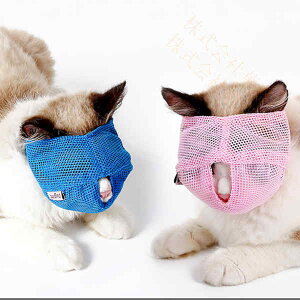 p pi ybgpi ݂h~ EHh~ ډB }Y Lbg}Y ʖih~ Lp ybg}XN