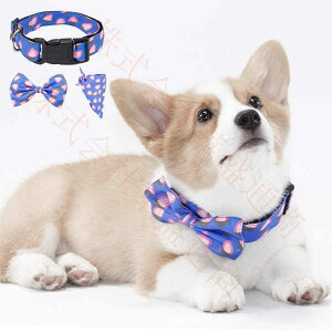 yb  p hbO hbOEFA { o_i XJ[t  킢 ^ ^  Zbg 悾ꂩ 