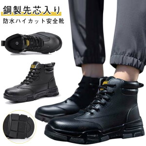  C ܐK[h c ZteB[V[Y  h Y fB[X nCJbg SC |c ƌC