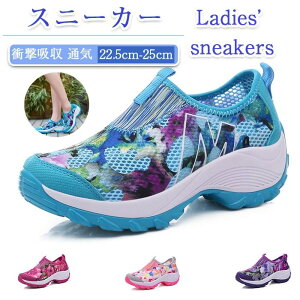 gbLOV[Y JWAV[Y GA[ ʋC Ռz GA[NbV EH[LOV[Y  fB[X 