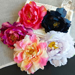  tH[} X[c q p[eB[ EFfBO   wbhhX я  a   w 