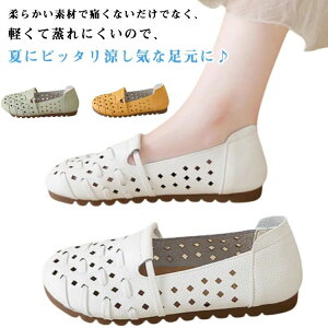 _炩 ɂȂ L tbgV[Y [q[ EhgD pvX t ₷ fB[X ؂ oGV[Y