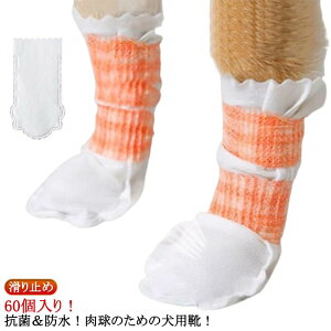 U ybgC Jo[ C Jo[ pC 60i30jZbg _炩 ho h  hbOu[c ybg ̌C ̃V[Y