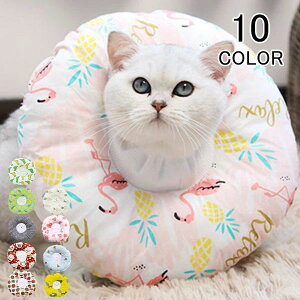 wX  ~h~ rߖh~ ی p 畆a D y Ȏ \ h[ic ӂӂ 炩 \tg L 