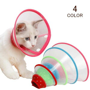  e pEFA wXPA  ~h~ rߖh~ ی p 畆a D y Ȏ \ ENA L 