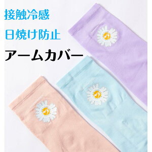 EH }\ St jO TCNO ] AEghA X|[c fB[X A[X[u 킢 (21Zbg)