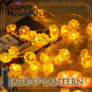 W ڂ pvL nEBCg Cg C~l[V nEB nEBK[h USB dr 