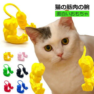 nE ap[eB[ ݂r ybg̏ ʔ nIȋȘr L̂߂̋r  ؓ L RXv ybg