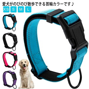 シンプル カラフル 紐 可愛い 犬の首輪 犬のリード カラー グッズ おしゃれ お散歩 用品 犬 ペットグッズ 犬 軽量 ナイロン 首輪