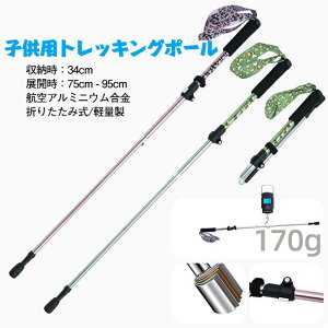 X oRpi gbLOXebL gbLO|[ gbLOXebL qA~jE qoR y q