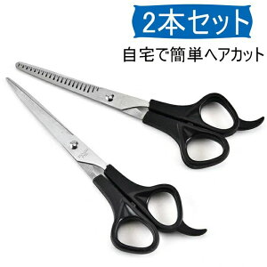 Jbg U͂ wA[Jbg  l q 2{Zbg XLoT~ JbgnT~ wAJbgnT~ nT~ U