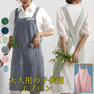 jp l q |Pbgt yē₷ EȒP n Rbg | H^ Vv ꂢ ƒp