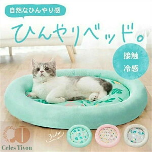 u\ NbV ʋCQ ې􂢉 h ی`  ybgp ڐG⊴ Ђ ėp xbh L