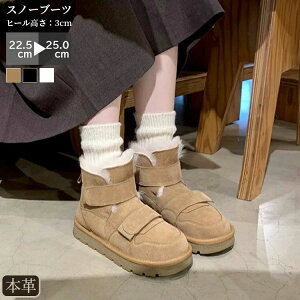 V[gu[ }Eeu[c Xm[u[c 3cm XF[h [Nu[c [gu[c h XG[h fB[Xu[c