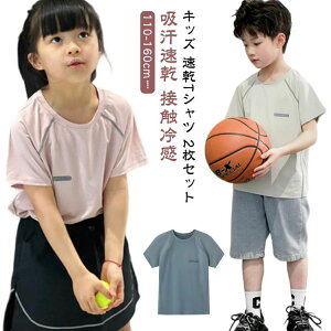 eBV ڐG⊴ z g[jOEFA X|[ctVc q j̎q ̎q hCTVc  TVc  LbY