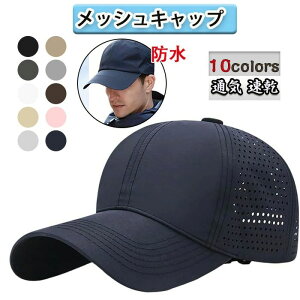 Xq ejX ނ oR Stڂ ʋC   y   ߉\ 58-63cm 傫TCY [ YLbv h