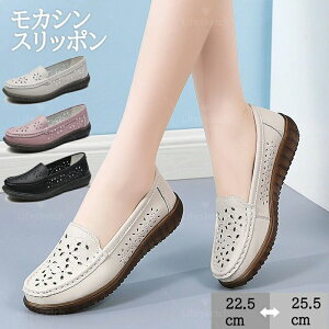 ʋC fbLV[Y  L Xj[J[ [t@[ Xb| h {v hCrOV[Y  ₷ fB[X