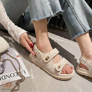 fB[ C fB[XV[Y r[`T_ tbgT_ T_ 21.5~26.5cm 傫TCY TCY 