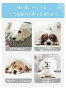 ʋC ybgpi  􂦂 薰 Ђ   ҂  Lp  L ybgxbh ybgnbN