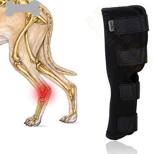 [  veN^[ EP x G ֐ ی hbO \tg^Cv 4TCY 1 T|[^[ Ђp p 