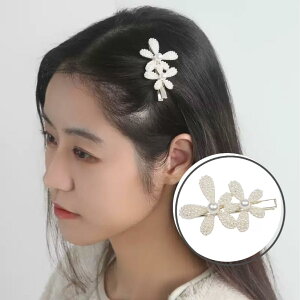  킢 Vv wAANZT[ _bNNbv ꎚ^s  K[Y  ̎q  wAs p[