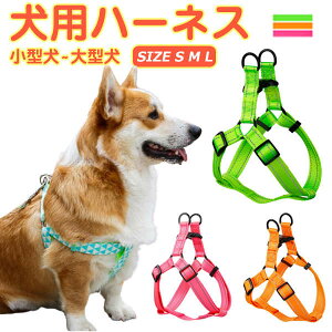 [ AEghA  v[g S  Oo Ռz EȒP U hbO  ybg ^ p n[lX