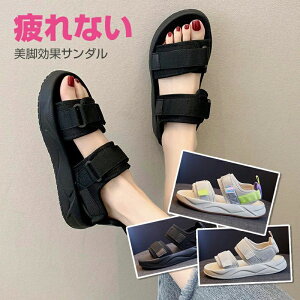 ɂ y  ubN }WbNe[v Xgbv ؂   ₷ ؂ X|[cT_ fB[X