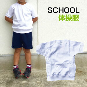 SALE!! lI݌ɌIŏIvCXIyocÕXgb`IzXN[@̑@̑@@y75%zwZp@z@@100`160cm@y[֑Ήzy؁z