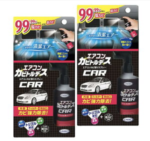 UYEKIy܂ƂߔzGARJrgfX ԗp@CAR [Jr+hJr 1+JrL+ ]100mL ×2Zbg 