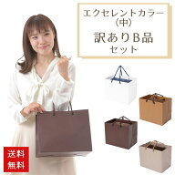 【訳ありB品】【エクセレントカラー　中　60枚セット】引き出物 紙袋 ブライダルバッグ 引き出物袋