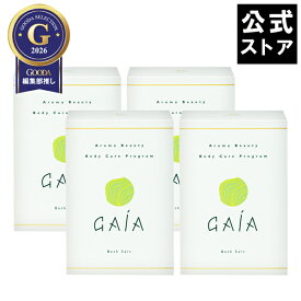 GAiAバスソルト　40包セット（10包/箱x4箱でのお届け） 海藻エキスたっぷりのガイアバスソルト｜バス用品 ボディケア マッサージ お風呂グッズ 入浴剤 ギフト プレゼント (AXFER1-NAX3788x2)