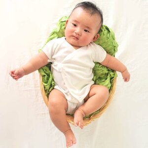 y{zI[KjbNRbg100Zi̗ǂ𑽂̐Ԃɑ̌Ăقcʉił񋟂Ă܂Ixr[@V@