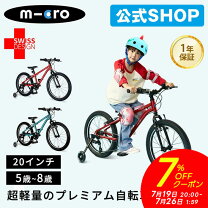 楽天市場】110cm（後輪タイヤサイズ（インチ）20 ～ 21.9）（キッズ 