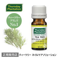 【お買い物マラソンポイント5倍】ティーツリーネイルケアソリューション Thursday Plantation | 爪 ケア …