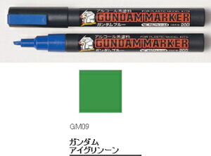 GM09 K_}[J[ ACO[yGSINIXEGM09zuvf ͌^ v