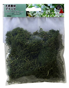 VRfރvc ~fBAO[yKATOE24-333KzuS͌^ NQ[W Jg[v