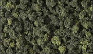 [Wvc tHXguhyKATOE24-546zuS͌^ NQ[W Jg[v