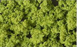 MKvc CgO[yKATOE24-548zuS͌^ NQ[W Jg[v